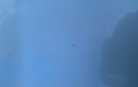 Chevrolet TrailBlazer, 2020 год, 2 150 000 рублей, 32 фотография