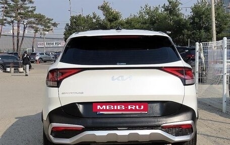 KIA Sportage IV рестайлинг, 2023 год, 1 900 555 рублей, 4 фотография