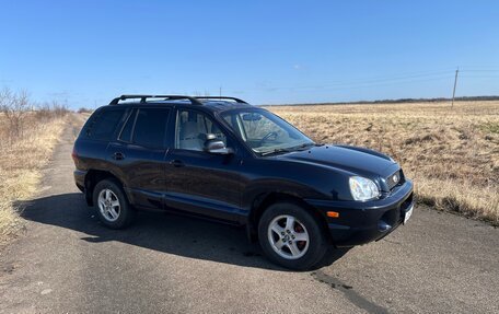 Hyundai Santa Fe III рестайлинг, 2003 год, 420 000 рублей, 7 фотография