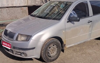 Skoda Fabia I, 2004 год, 250 000 рублей, 1 фотография