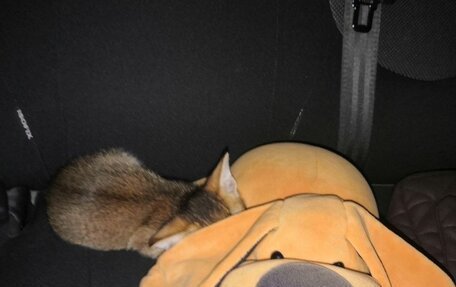 Hyundai Solaris II рестайлинг, 2011 год, 650 000 рублей, 8 фотография