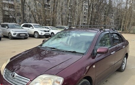 Toyota Corolla, 2003 год, 590 000 рублей, 1 фотография