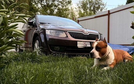 Skoda Octavia, 2014 год, 1 450 000 рублей, 1 фотография