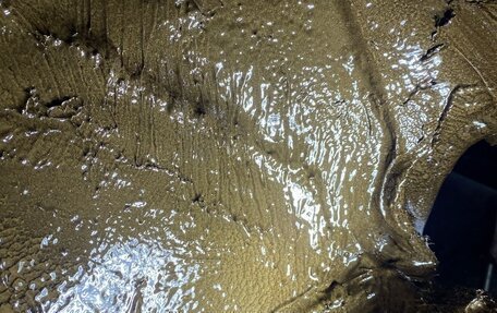 Toyota Avensis III рестайлинг, 2006 год, 770 000 рублей, 15 фотография