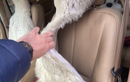 Mercedes-Benz M-Класс, 2002 год, 700 000 рублей, 14 фотография