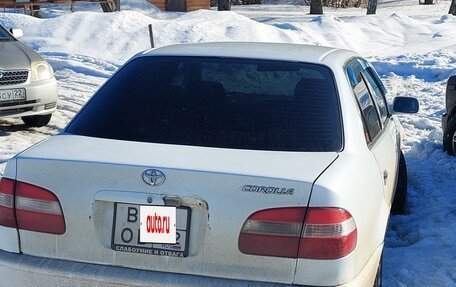 Toyota Corolla, 1999 год, 340 000 рублей, 2 фотография
