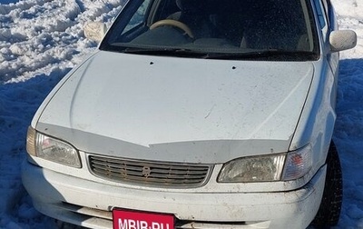 Toyota Corolla, 1999 год, 340 000 рублей, 1 фотография