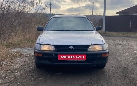 Toyota Sprinter VIII (E110), 2000 год, 225 000 рублей, 3 фотография