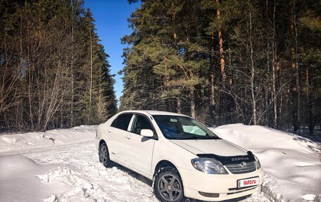 Toyota Corolla, 2003 год, 550 000 рублей, 11 фотография