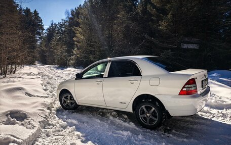 Toyota Corolla, 2003 год, 550 000 рублей, 13 фотография