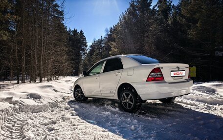 Toyota Corolla, 2003 год, 550 000 рублей, 14 фотография