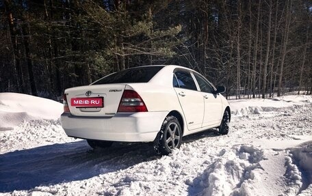 Toyota Corolla, 2003 год, 550 000 рублей, 12 фотография