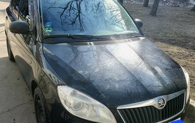 Skoda Fabia II, 2013 год, 550 000 рублей, 1 фотография
