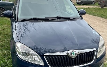 Skoda Fabia II, 2010 год, 450 000 рублей, 1 фотография