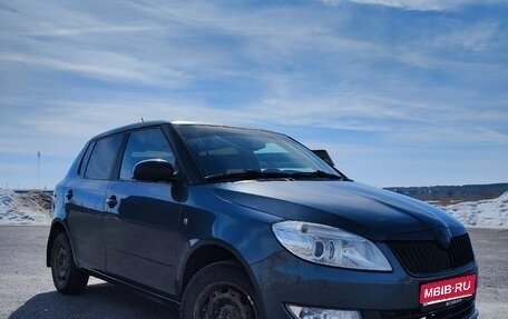 Skoda Fabia II, 2012 год, 550 000 рублей, 1 фотография