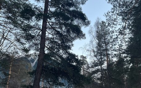 Nissan Qashqai+2 I, 2011 год, 1 350 000 рублей, 3 фотография