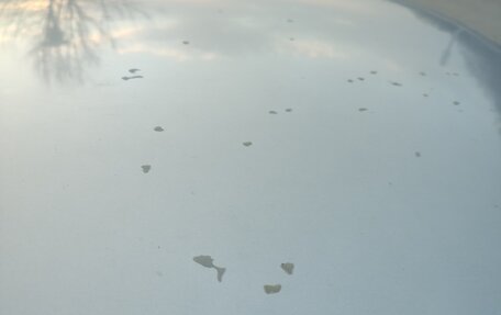 Skoda Fabia II, 2009 год, 600 000 рублей, 8 фотография