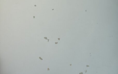 Skoda Fabia II, 2009 год, 600 000 рублей, 9 фотография