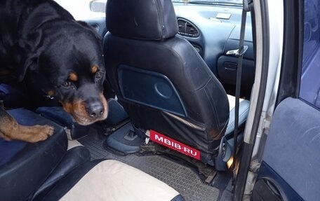 Volkswagen Sharan I рестайлинг, 1999 год, 325 000 рублей, 7 фотография