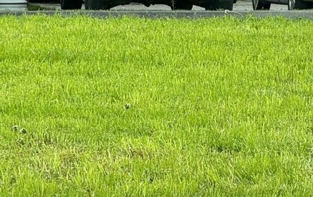 Infiniti FX II, 2008 год, 1 600 000 рублей, 14 фотография