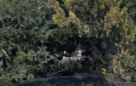 Lexus LX, 2024 год, 17 600 000 рублей, 12 фотография