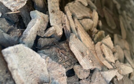 Volkswagen Passat B3, 1989 год, 75 000 рублей, 6 фотография