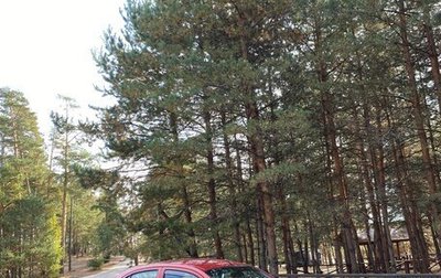 Nissan Micra III, 2006 год, 430 000 рублей, 1 фотография