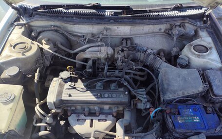 Toyota Corolla, 1997 год, 275 000 рублей, 7 фотография