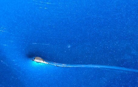 Audi Q5, 2015 год, 2 800 000 рублей, 22 фотография