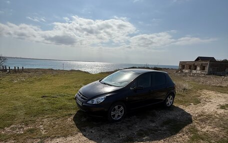 Peugeot 307 I, 2004 год, 350 000 рублей, 1 фотография