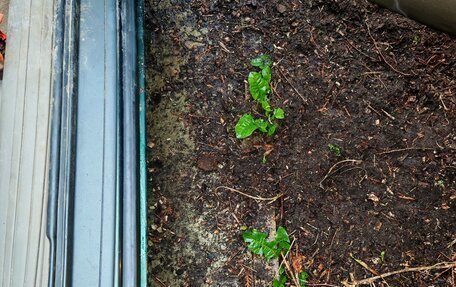 Chevrolet Caprice VI, 1999 год, 1 100 000 рублей, 3 фотография