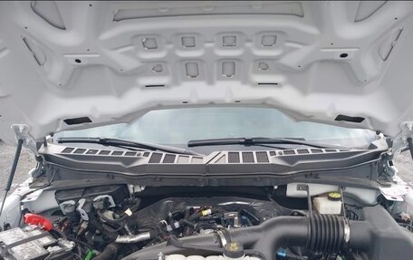 Ford F-150, 2024 год, 8 000 000 рублей, 4 фотография