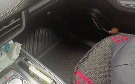 Haval Jolion, 2023 год, 1 767 000 рублей, 16 фотография