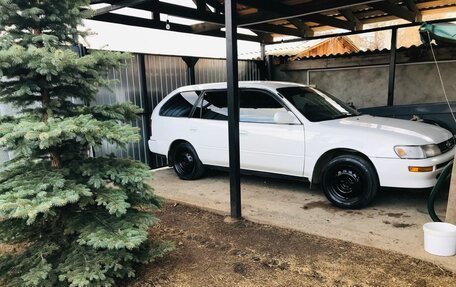 Toyota Corolla, 1997 год, 420 000 рублей, 2 фотография