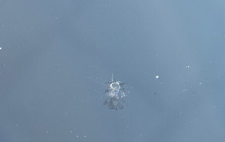 KIA Sportage IV рестайлинг, 2018 год, 2 500 000 рублей, 22 фотография