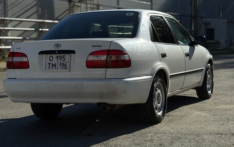 Toyota Corolla, 1997 год, 310 000 рублей, 4 фотография