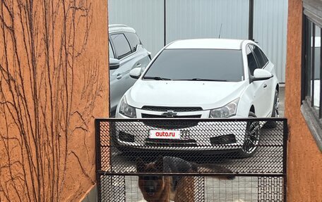 Chevrolet Cruze II, 2010 год, 790 000 рублей, 11 фотография