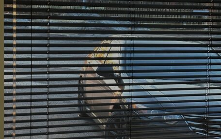 Honda Accord VIII рестайлинг, 2008 год, 1 200 000 рублей, 10 фотография