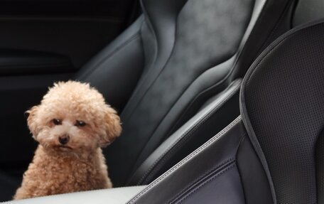 BMW M4, 2022 год, 5 500 000 рублей, 6 фотография