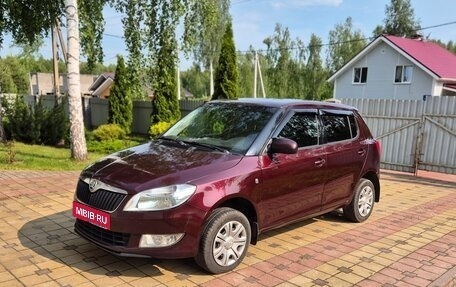 Skoda Fabia II, 2010 год, 470 000 рублей, 1 фотография