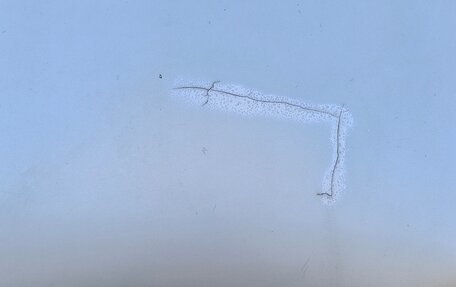 Toyota Corolla, 1992 год, 210 000 рублей, 6 фотография