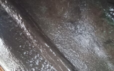 Москвич 2141, 1991 год, 155 000 рублей, 6 фотография