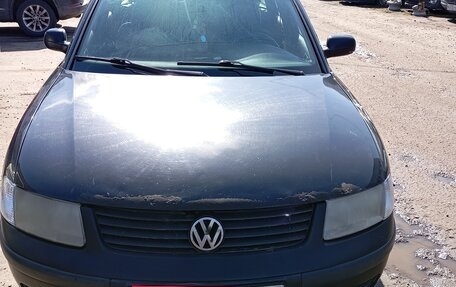 Volkswagen Passat B5+ рестайлинг, 1998 год, 250 000 рублей, 3 фотография