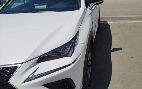 Lexus NX I, 2019 год, 3 850 000 рублей, 2 фотография