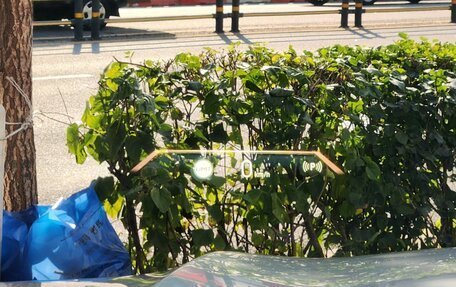 BMW X5, 2025 год, 13 770 000 рублей, 8 фотография