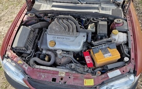 Opel Vectra B рестайлинг, 1998 год, 130 000 рублей, 23 фотография