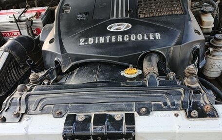 Hyundai Terracan I, 2003 год, 850 000 рублей, 8 фотография