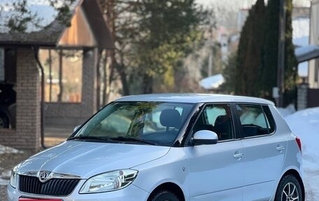 Skoda Fabia II, 2010 год, 510 000 рублей, 1 фотография