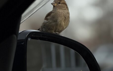 BMW X3, 2021 год, 6 050 000 рублей, 30 фотография