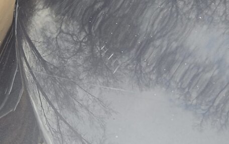 Hyundai Tucson III, 2019 год, 2 500 000 рублей, 13 фотография